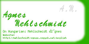 agnes mehlschmidt business card